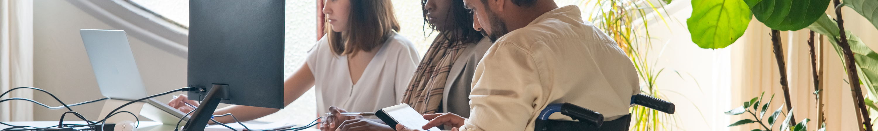 Wheelchair user and other at office desk