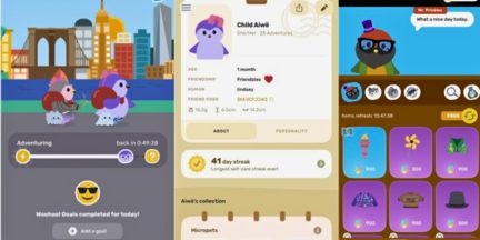 Screenshot from the finch app