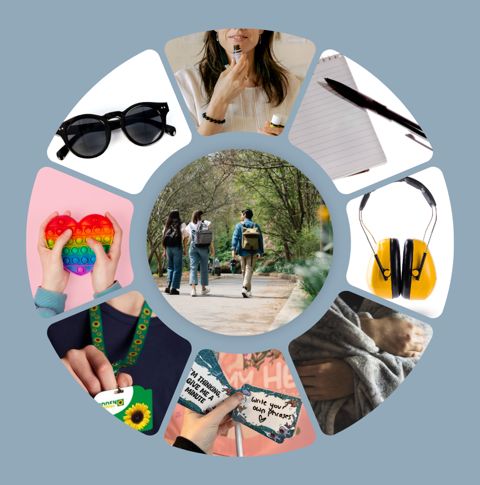 Variety of sensory sensitive AT items.