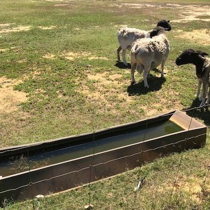 Pic 1 Livestock troughs Livestock troughs