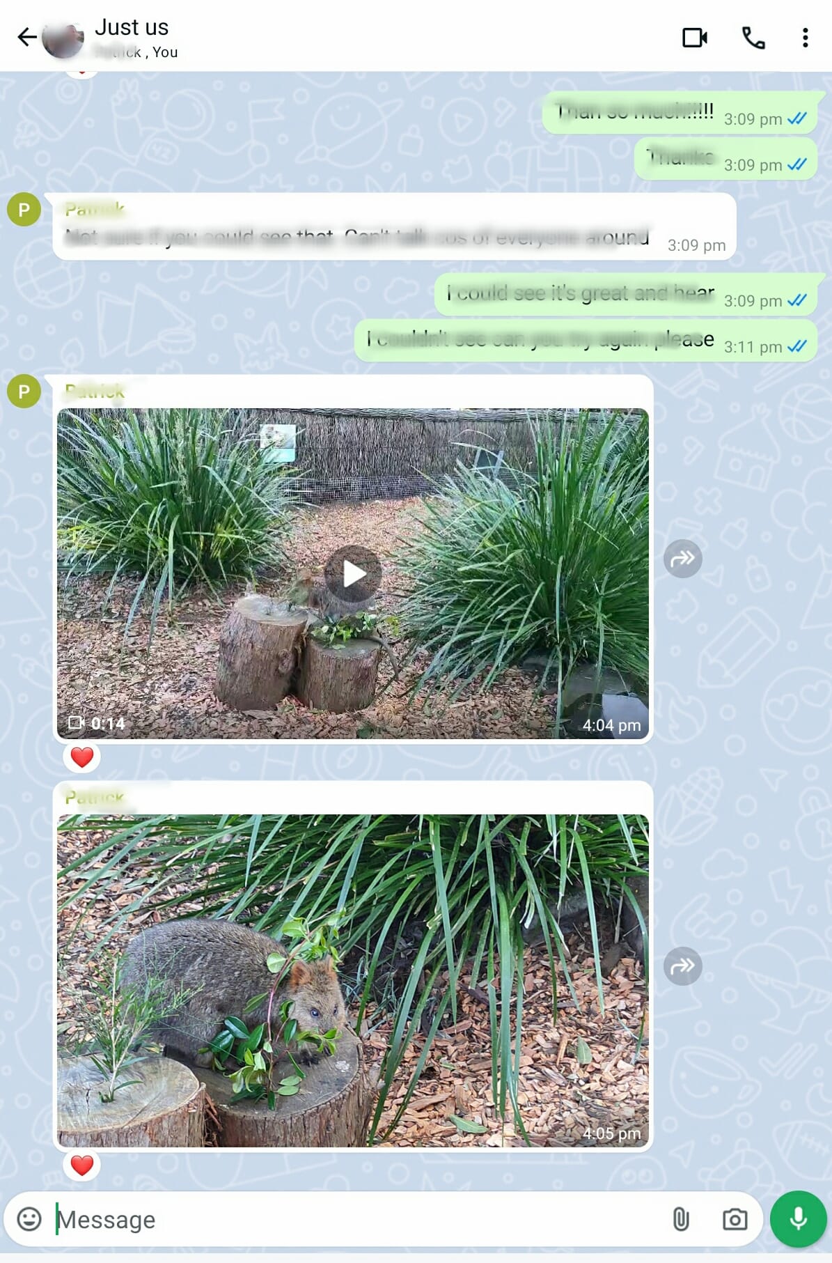 A screenshot of Pats Whats App conversation with an image and video with her family